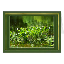 Lily Pads cards