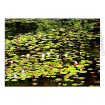 Lily pads II cards