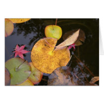 Lily Pads in Autumn cards