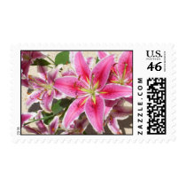 Lily Parade Pink Explosion Postage stamps