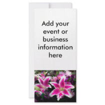 Lily Pink Lily Rac Card Rack Card