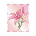 Lily Pink posters
