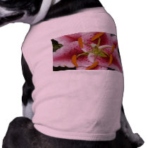 lily,pinky lily 2 pet clothing