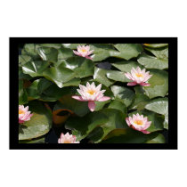 Lily pond 2 posters by cARTerART Lily pond 2 posters