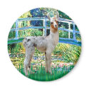 Lily Pond Bridge - Baby Llama magnets