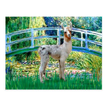 Lily Pond Bridge - Baby Llama Postcards