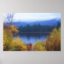 Lily Pond Kancamagus Highway Poster
