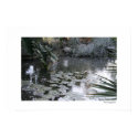 lily pond posters
