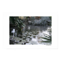 lily pond posters by culfinglin lily pond posters