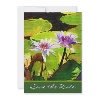 wedding Save the Date Cards