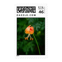 Lily Post postage by CHOLOEPUS Lily Post postage
