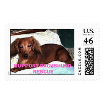LILY postage by pixie65 LILY postage