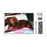 LILY postage