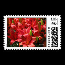 Lily Postage postage