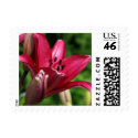 Lily postage by iiiyaaa Lily postage