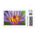 Lily postage