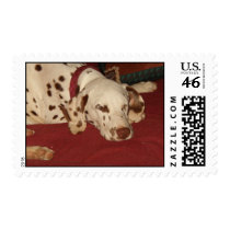 Lily postage