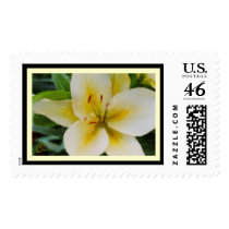 Lily Postage Stamps