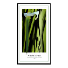 Lily Poster print