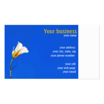 Lily Profile Card business cards