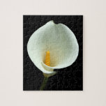 Lily Puzzle