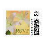 Lily RSVP stamps stamp