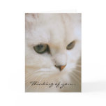 "Lily Scarlett" All-Occasion Greeting Card