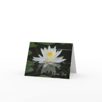 lily shadow, Thank You cards by alacombe lily shadow, Thank You cards