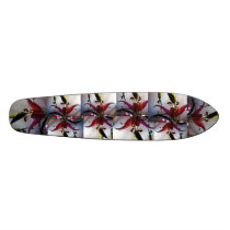 Lily skateboard