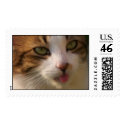 Lily Stamps 01