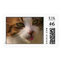Lily Stamps 01 by phantompanther Lily Stamps 01