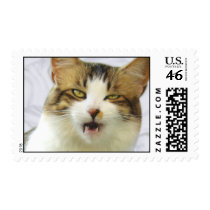 Lily Stamps 02