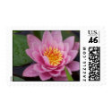 Lily Stamps by lemonx Lily Stamps