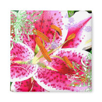 Lily Stargazer Fantasy, Magnet