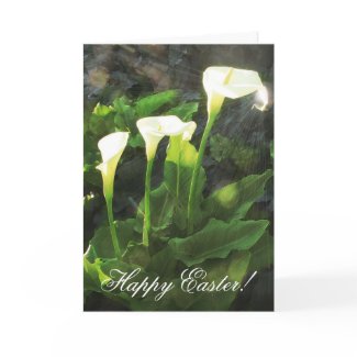 Lily Sunrise Surprise Happy Easter Card card