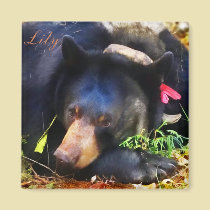 Lily the Black Bear with Ribbons Magnet magnets