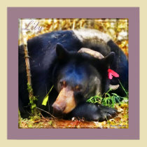 Lily the Black Bear with Ribbons Poster posters
