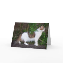 Lily the Cat Greeting Card 01 by phantompanther Lily the Cat Greeting Card 01