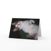 Lily the Cat Greeting Card 02