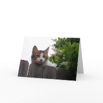 Lily the Cat Greeting Card 04 by phantompanther Lily the Cat Greeting Card 04