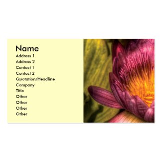 Lily - The lotus blossom profilecard
