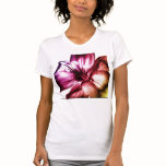 Lily t-shirts