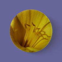 Lily Up Close buttons