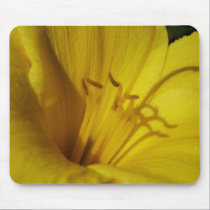 Lily Up Close mousepads