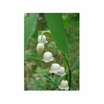 Lily White Flowers photo sculptures