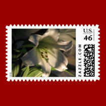 Lily White Stamp