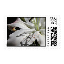 Lily White Wedding Flowers Postage Stamps