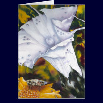 Lily with Bee cards