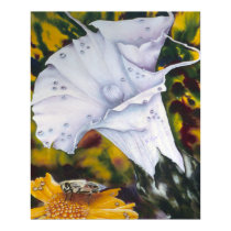 Lily with Bee Fine art Print