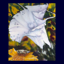 Lily with Bee Fine art Print